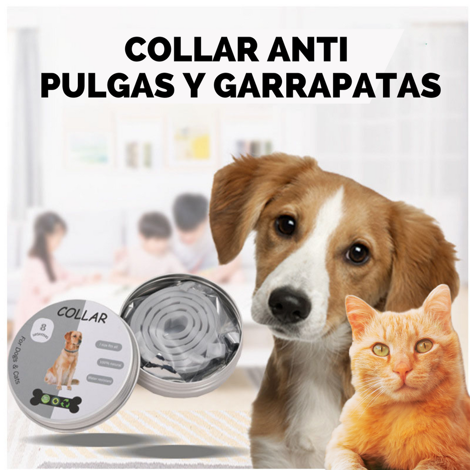 Collar Antipulgas y Garrapatas Para Perros y Gatos